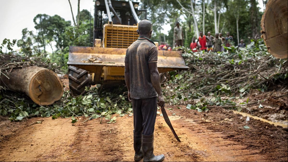 Bruselas, forzada a frenar su legislación para combatir la deforestación en todo el mundo