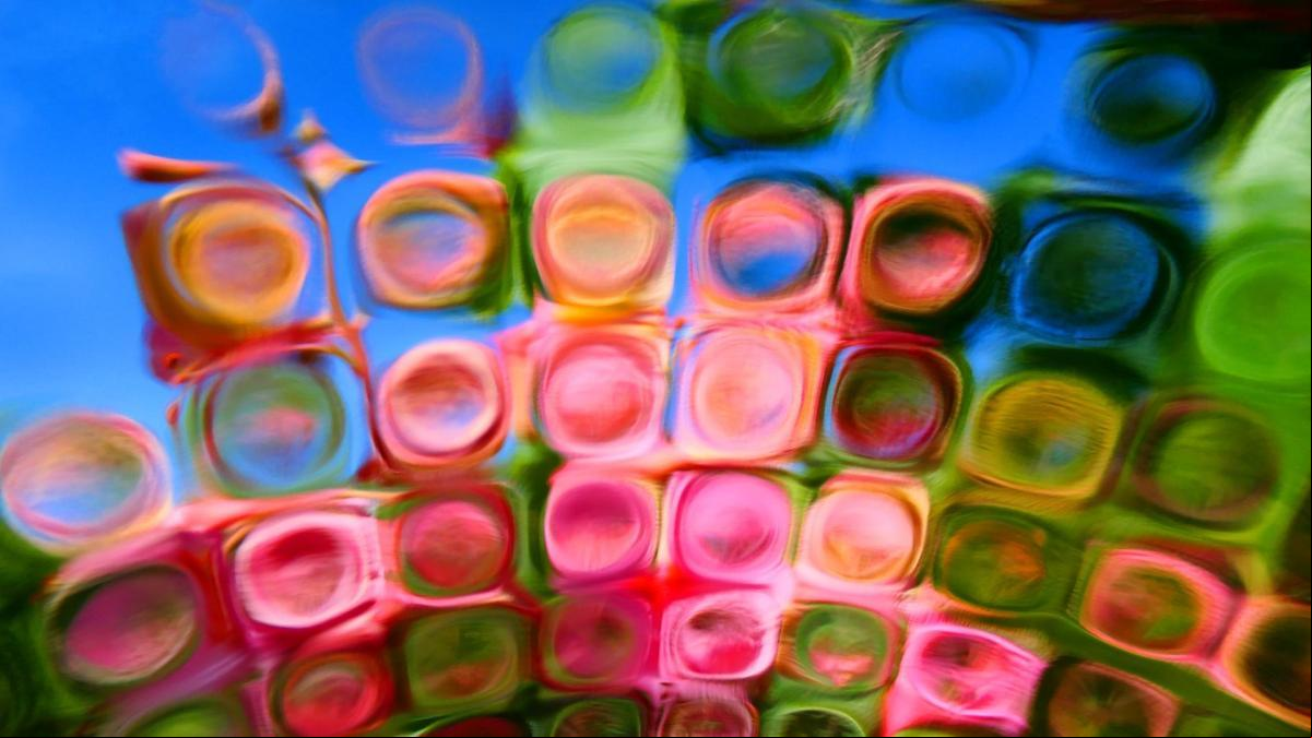 ¿Cómo suena una sinfonía de colores?