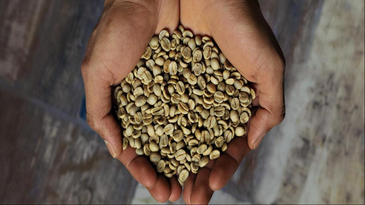 Illy Arabica Selection: una vuelta al mundo en siete cafés de origen