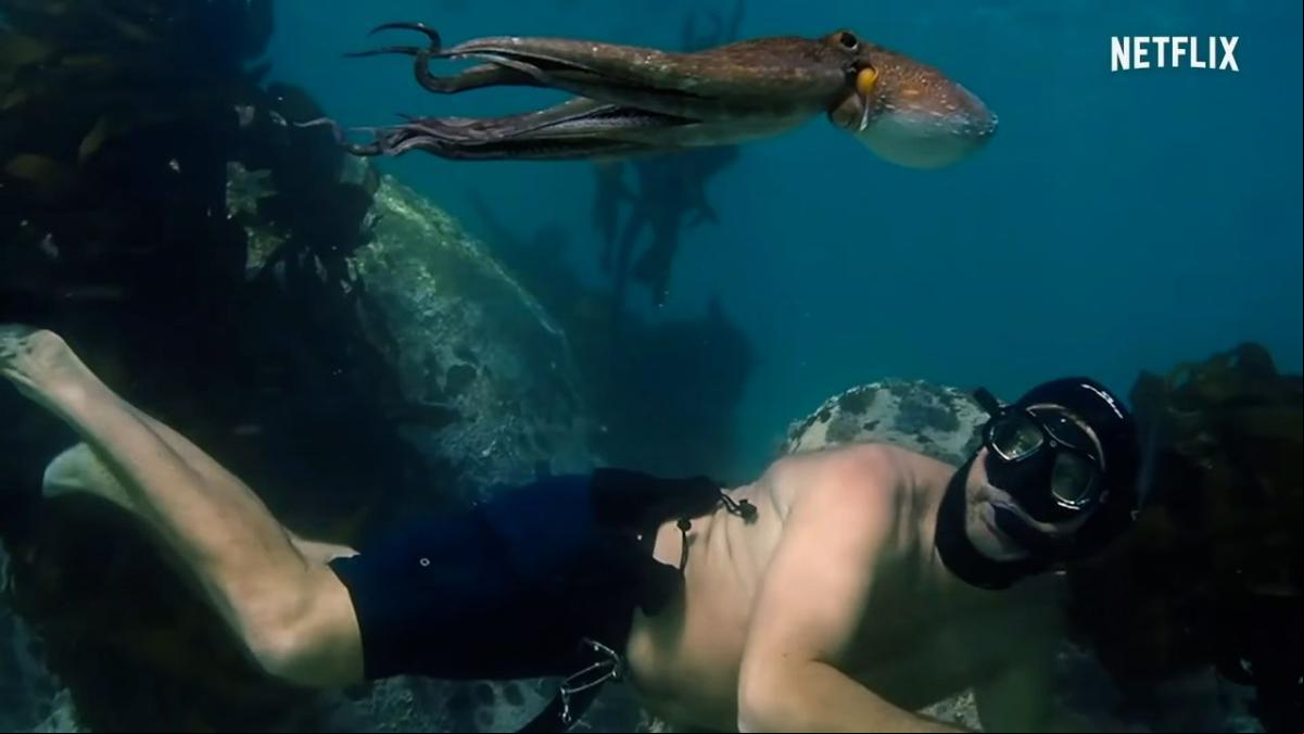 Estos son los mejores documentales de ciencia que puedes encontrar en Netflix