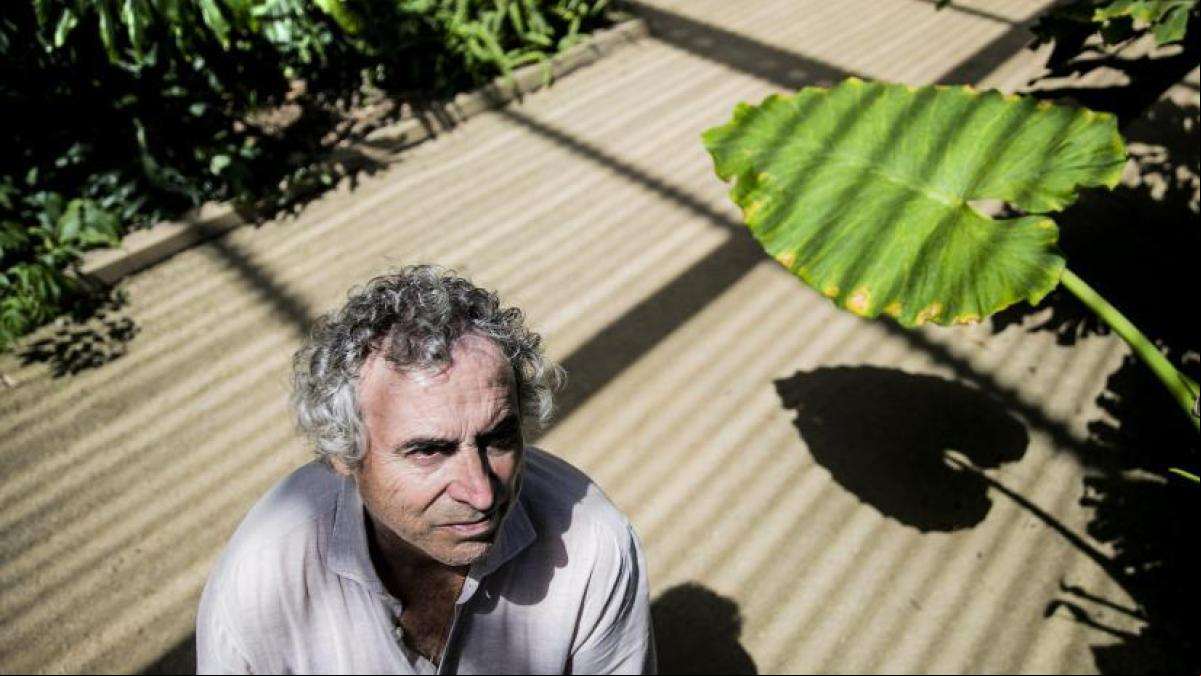 Ildefonso Falcones: “España tuvo granjas de mujeres en Cuba para parir esclavos”