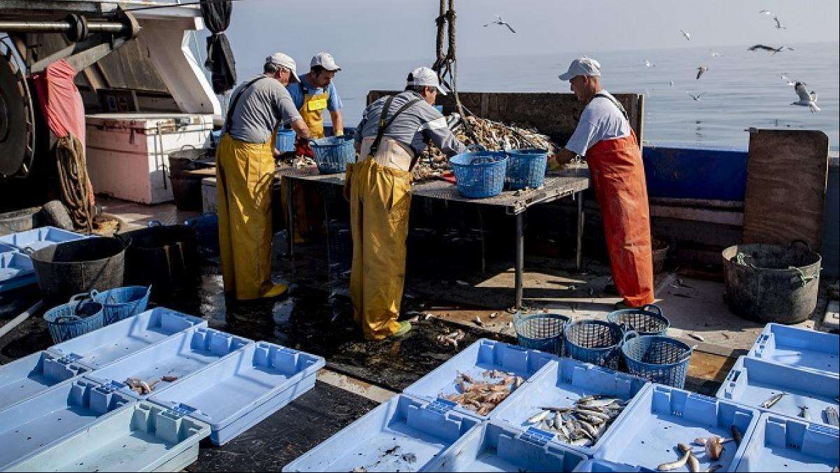 Pescando basura: el proyecto Upcycling The Oceans retiró 95.000 kilos de residuos en el 2022