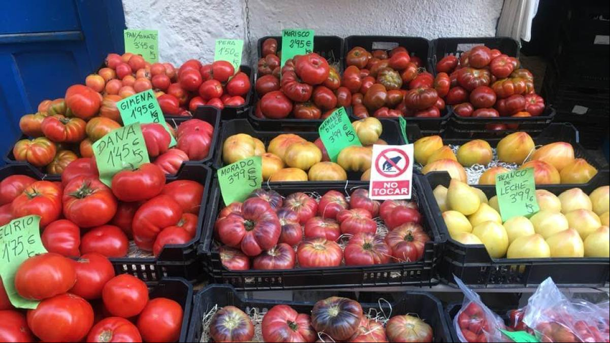 Los últimos veranos de ‘La Casa de los Tomates’