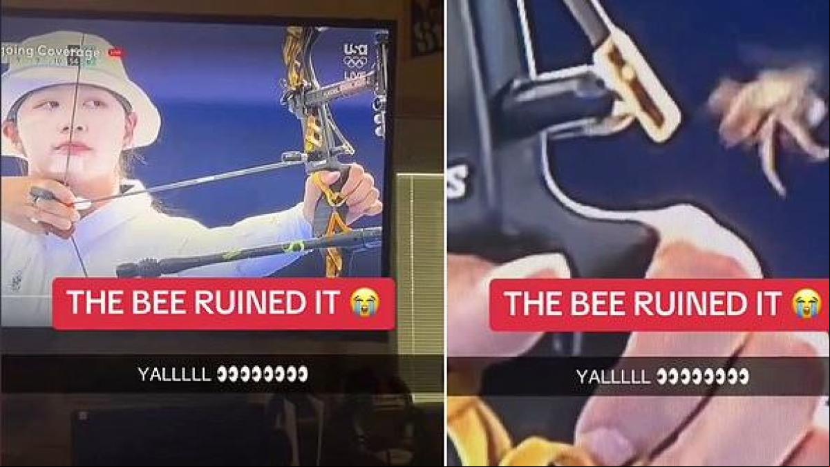 El instante exacto en el que una abeja está a punto de arruinar una medalla de oro en los JJOO de París