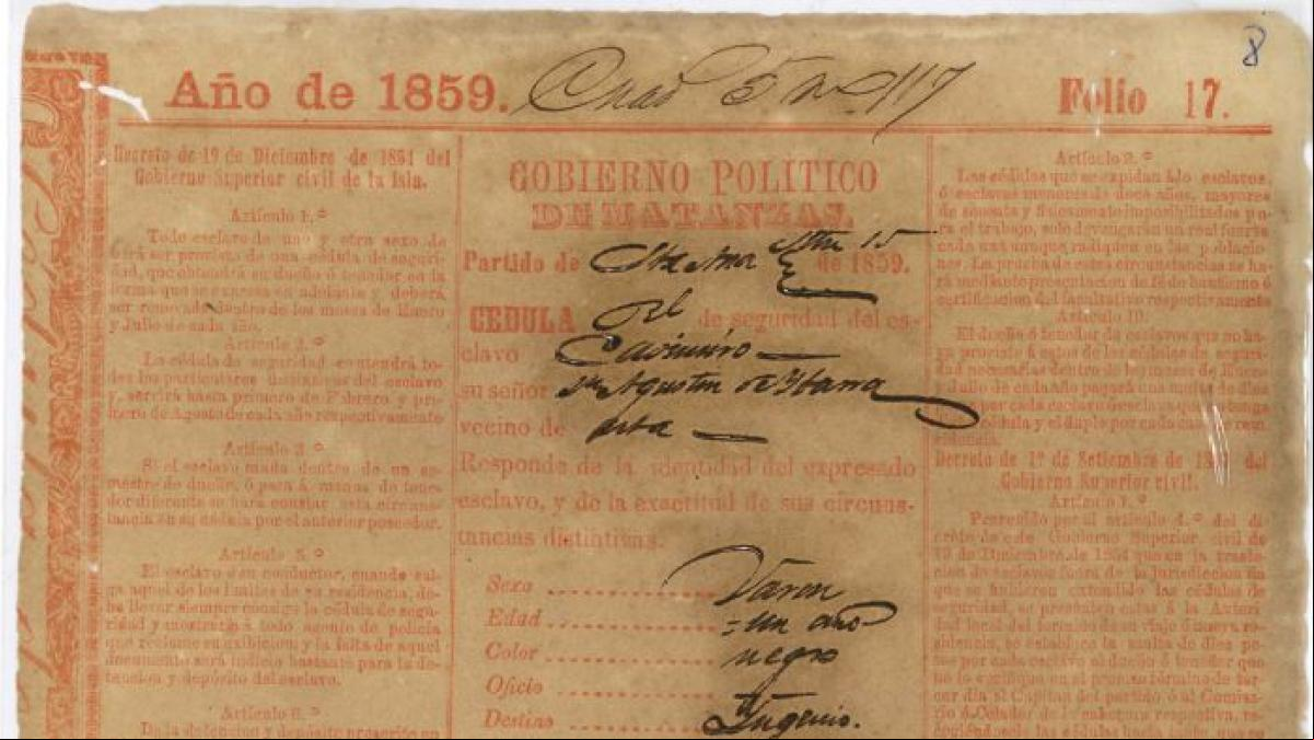 Venir al món amb manual d’instruccions per ser vexat