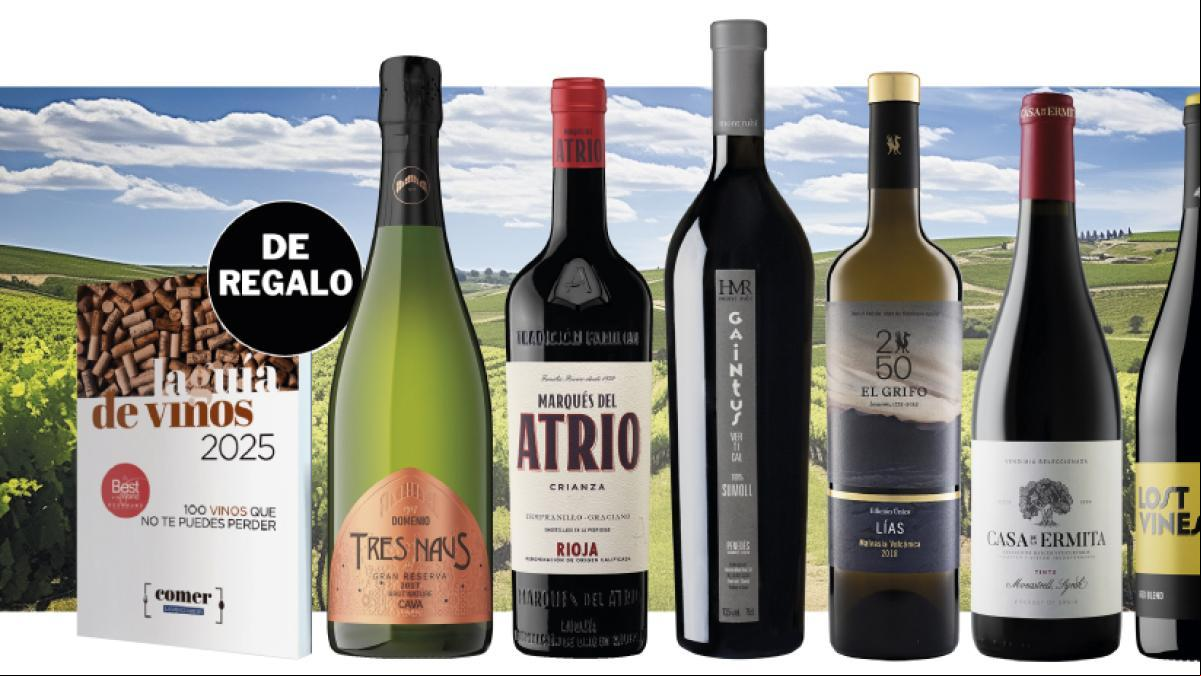 Seis vinos que no te puedes perder