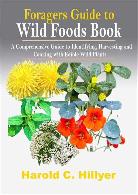 FORAGERS GUIDE TO WILD FOODS BOOK EBOOK (edición en inglés)