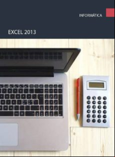 Excel 2013 (ebook)