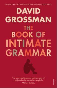 THE BOOK OF INTIMATE GRAMMAR (edición en inglés)