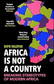 AFRICA IS NOT A COUNTRY: BREAKING STEREOTYPES OF MODERN AFRICA (edición en inglés)
