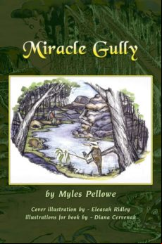 MIRACLE GULLY EBOOK (edición en inglés)