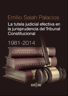 La Tutela Judicial Efectiva En La Jurisprudencia Del Tribunal Constitu