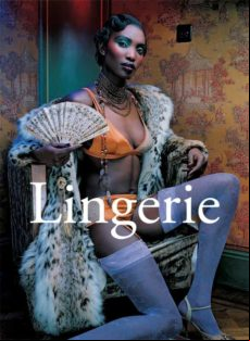 Lingerie (ebook)