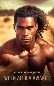WHEN AFRICA AWAKES EBOOK
