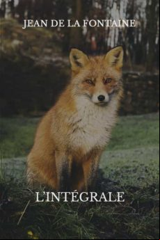FABLES DE LA FONTAINE EBOOK (edición en francés)