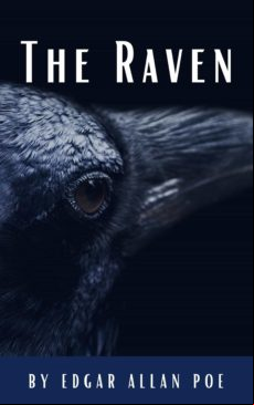 The Raven (ebook)