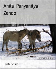 Zendo (ebook)