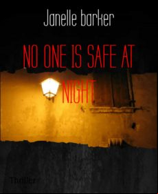 No One Is Safe At Night (ebook)