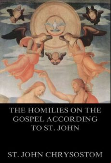 The Homilies On The Gospel According To St. John (ebook)