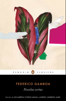 Novelas Cortas (ebook)