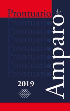 Prontuario De Amparo 2019 (ebook)