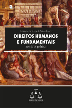 DIREITOS HUMANOS E FUNDAMENTAIS EBOOK (edición en portugués)