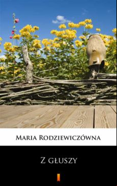 Z G?uszy (ebook)