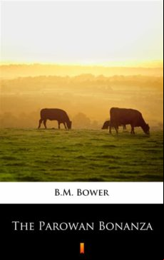 The Parowan Bonanza (ebook)