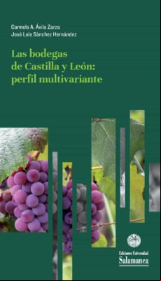 Las Bodegas De Castilla Y León (ebook)