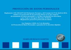 Protección De Datos Personales. Esquemas. (ebook)