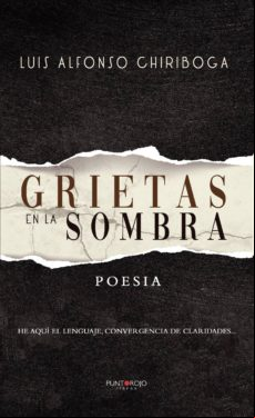 Grietas En La Sombra (ebook)