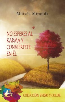 No Esperes Al Karma Y Conviértete En Él (ebook)