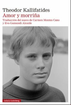 Amor Y Morriña (ebook)