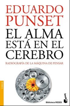 El Alma Esta En El Cerebro