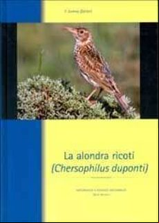 LA ALONDRA RICOTI (CHERSOPHILUS DUPONTI)