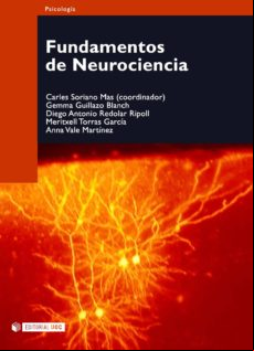 Fundamentos De Neurociencia (ebook)