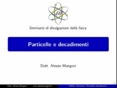 Particelle E Decadimenti (ebook)