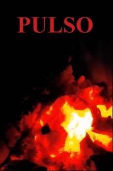 PULSO EBOOK