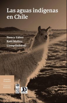 Las Aguas Indígenas En Chile (ebook)