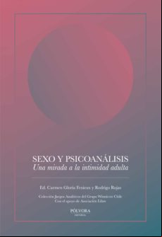 Sexo Y Psicoanálisis (ebook)