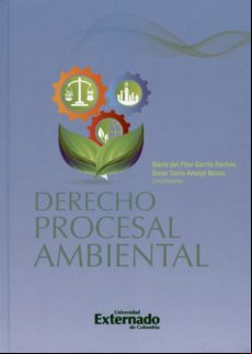 Derecho Procesal Ambiental (ebook)