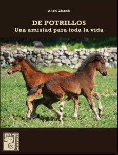 De Potrillos (ebook)