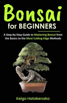 BONSAI FOR BEGINNERS EBOOK (edición en inglés)