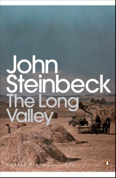 The Long Valley (ebook)