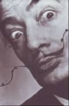 SALVADOR DALI: OBRA COMPLETA (VOL. VII) ENTREVISTES