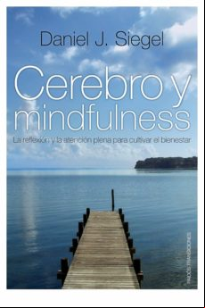 Cerebro Y Mindfulness (ebook)