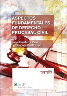 Aspectos Fundamentales De Derecho Procesal Civil (ebook)