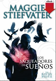 Los Saqueadores De Sueños (ebook)