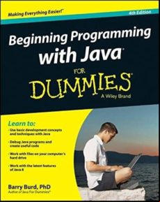 Beginning Programming With Java For Dummies (4th Ed.)