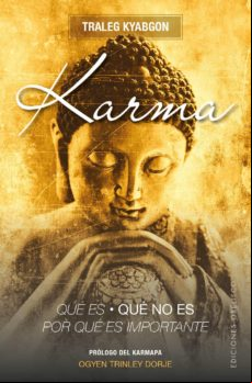 Karma Qué Es Qué No Es Por Qué Es Importante (ebook)